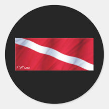 The Dive Flag Collection Sticker