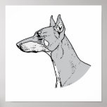 THE DOBERMAN posters