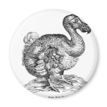 The Dodo magnets