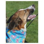 The dog flyer