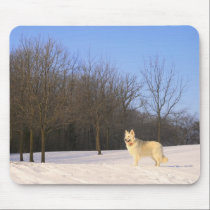 The Dog On A Hill Mousepad