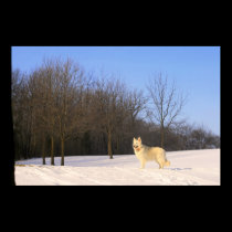 The Dog On A Hill posters