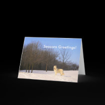 The Dog On The Hill cards