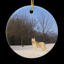 The Dog On The Hill ornaments
