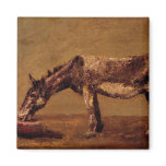 The Donkey magnets