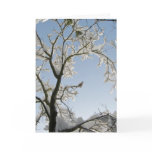 The Dove replies, "Noel." Greeting Card