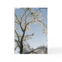 The Dove replies, "Noel." cards
