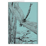 The Dragonfly in Flight cards