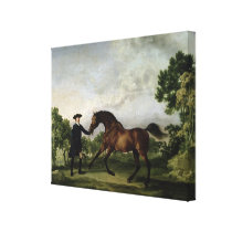 The Duke of Ancaster's bay stallion "Blank" Canvas Print