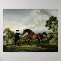 The Duke of Ancaster's bay stallion "Blank" Posters