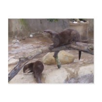 the dynamic duo postcards