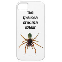 The Dysdera Crocata spider v1 iPhone 5 Covers