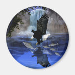 The eagle and the waterfall fridge magnets