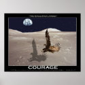THE EAGLE HAS LANDED ~ Art Poster posters