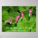 THE EARTH LAUGHS IN FLOWERS - BLEEDING HEARTS posters