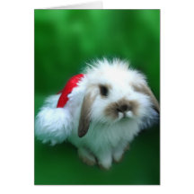 The Easter, Umm, Christmas Bunny Cards