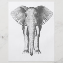 The Elephant Flyer Design