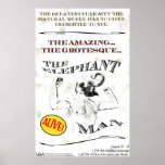 The Elephant Man posters