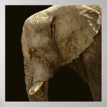 The Elephant - poster