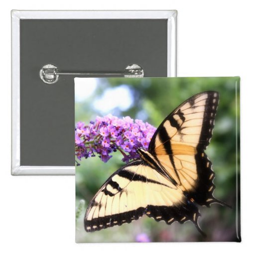 "The Elusive One" Butterfly Photography Poster Button