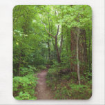 The Enchanted Forest (3) Mousepads