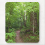 The Enchanted Forest (3) Mousepads