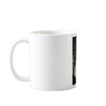 The Enchanted mugs