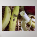 the end of the fruit basket... posters