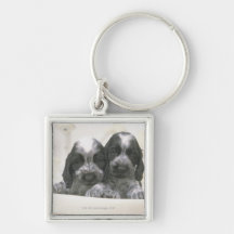 The English Cocker Spaniel is a breed of dog. It Key Chains