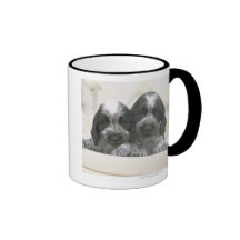 The English Cocker Spaniel is a breed of dog. It Mug