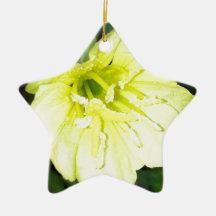The Evening Primrose Collection Ornament