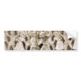 The Evil Eye, 'Electric Ballet' Retro Theater Bumper Sticker