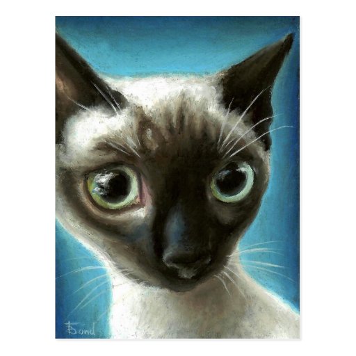 The eyes have it post cards