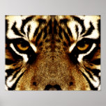 The Eyes of a Tiger Print