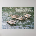The Eyes of All Wait Upon You posters