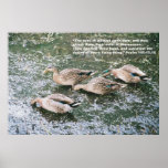 The Eyes of All Wait Upon You posters