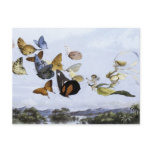 The Fairy Queen Takes an Airy Drive - Postcard