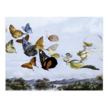 The Fairy Queen Takes an Airy Drive - Postcard