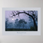 The fairy tail forest posters