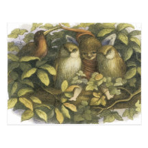 The Fairyland,1870 Fairy With Owls Post Card