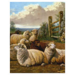 The faithful shepherds flyers