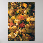 The Fall of the Leaf posters