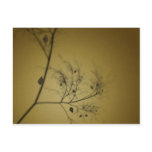 The Fall Tree postcards