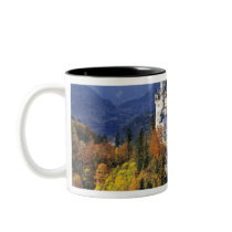 The fanciful Neuschwanstein is one of three Mug