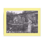 The Farmer's Daughter Post Cards