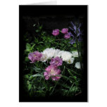 The Feathered Tulips Greeting Cards