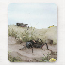THE FIELD CRICKET MOUSEPAD