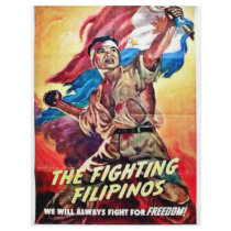 The Fighting Filipinos Personalized Flyer