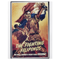 The Fighting Filipinos Custom Flyer