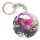 The First Hellebore Of Spring keychains